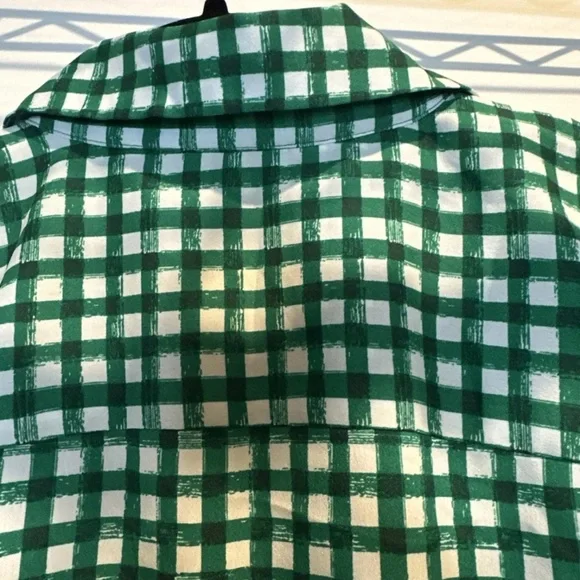 Ann Taylor Green and White Gingham Button-Down Shirt - Picture 5 of 5